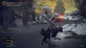 Elden Ring - Bloody Finger Okina Location