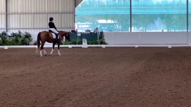 Addy and Tango - GSEC Platinum Classic смотреть онлайн