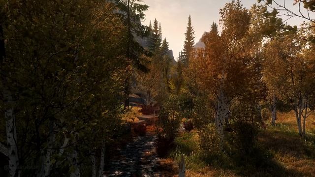 ? The Elder Scrolls Music & Ambience | Autumn in Skryim, Stunning Scenes in 4K смотреть онлайн