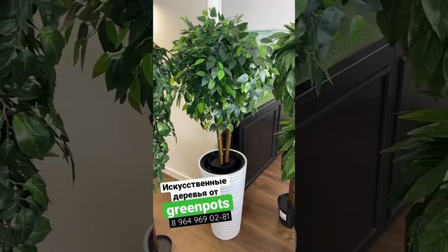 Искусственное озеленение в вашем городе? - greenpots.ru смотреть онлайн