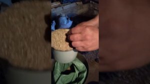 Комбикорм, Кормление Индюков 100% Рост