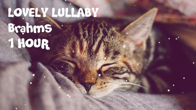 브라함스의 사랑스런 피아노 자장가로 꿈나라 Go! Go! [Brahms] Lovely Lullaby, Healing Music, Piano, 1hour смотреть онлайн