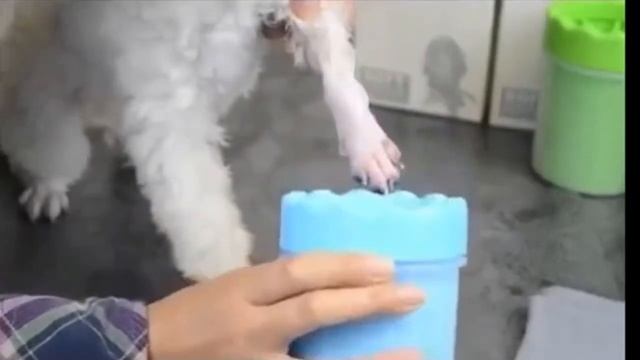 Лапомойка для собак переносная Pets & Friends : стакан-непроливайка с силиконовой щеткой смотреть онлайн