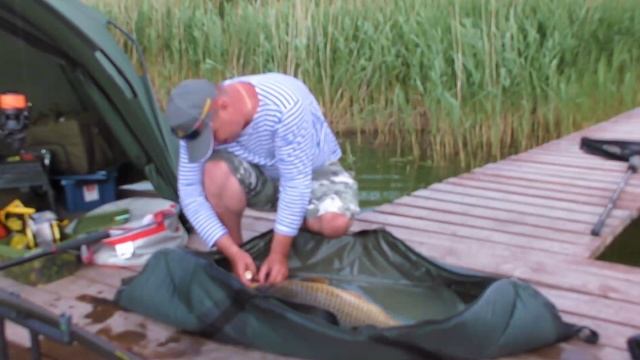 Рыбалка с Ночёвкой Карп 10 кг . КАРПФИШИНГ .Генезис смотреть онлайн