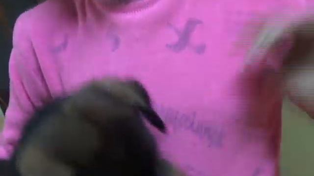 САМЫЙ ВЕРНЫЙ ДРУГ смотреть онлайн