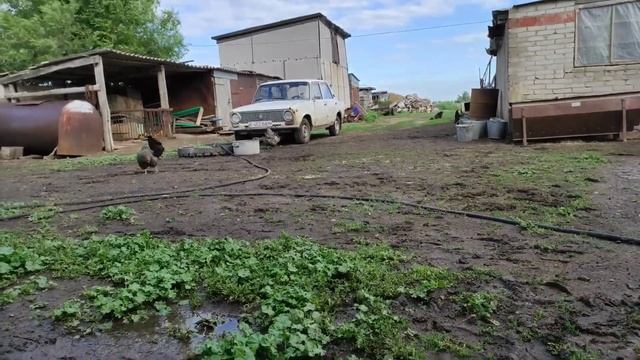 РЕМОНТ ДОМА/ПЕРЕЕЗД В РОССИЮ/СЧАСТЛИВЫЕ В ДЕРЕВНЕ/ПРИЕХАЛИ НА РОДИНУ КАЗАХСТАН❤ смотреть онлайн