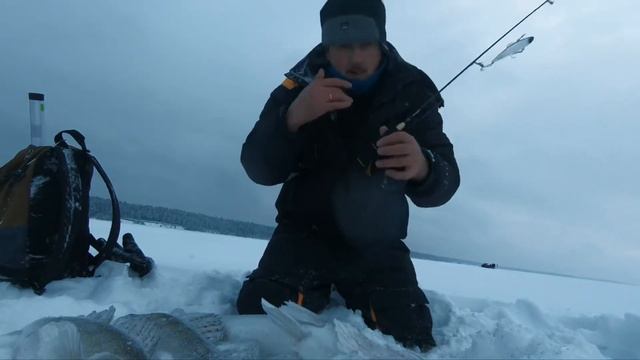 Ловля на вибы судака зимой на обское водохранилище смотреть онлайн
