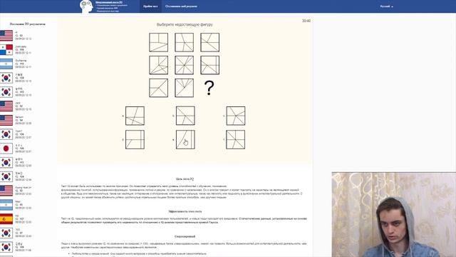 Великолепные собаки