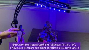 Фитолампа 4 головы на штативе