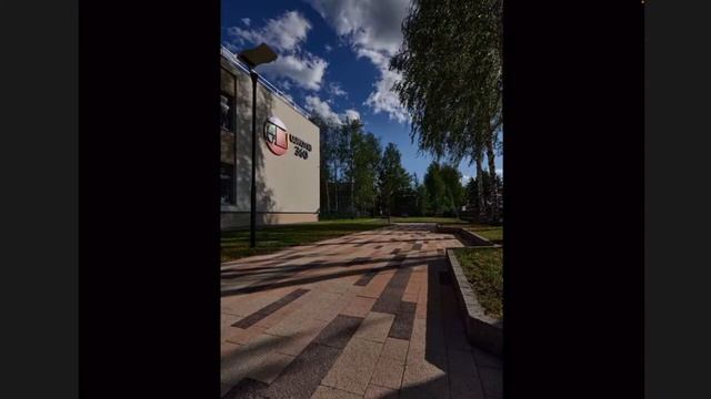 Покрытия, как главная составляющая проектов по обустройству общественных и дворовых территорий. смотреть онлайн