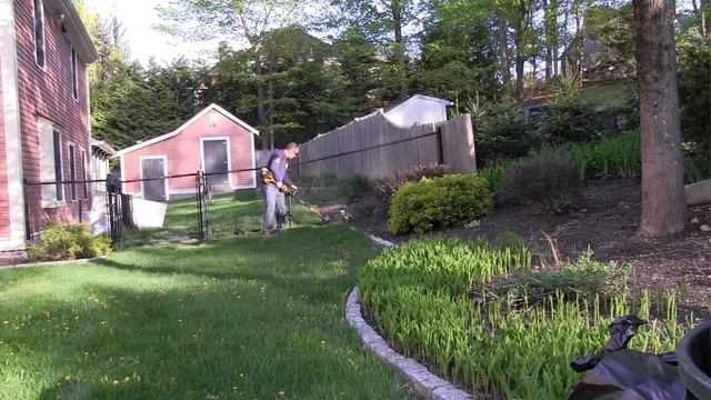 Dewalt FLEXVOLT String Trimmer