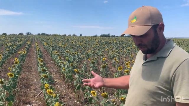 No-till 2022. Сорго и другие культуры хозяйства смотреть онлайн