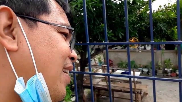 PAHINGI PO NG SAN FRANCISCO (CROTON PLANT) PART 6 - NUEVA ECIJA | RARE TURTLE BACK, MINI GOLF COURS смотреть онлайн