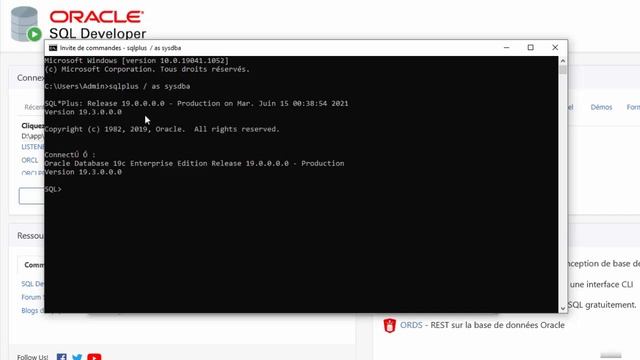 Formation Oracle PL/SQL : #11 Configurer une connexion dans SQL Developer смотреть онлайн