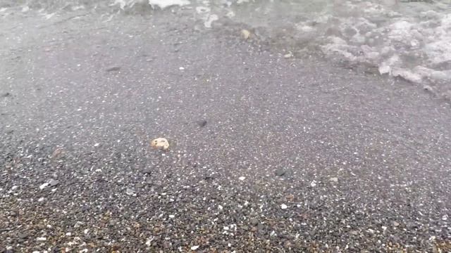 Прогулка по побережью Амурского залива | Шум волн прибоя смотреть онлайн