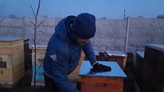 Почему нет верхних летков в нашем улье? Отвечаем на вопросы наших подписчиков. смотреть онлайн