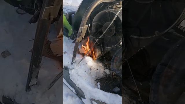 Ловим живца и отпускаем,так как за это можно схлопотать.