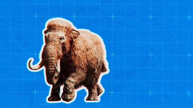 Птенец Знает, Что Произойдет Дальше