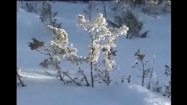 2006 г , Часть 1 Владимирский Е В смотреть онлайн