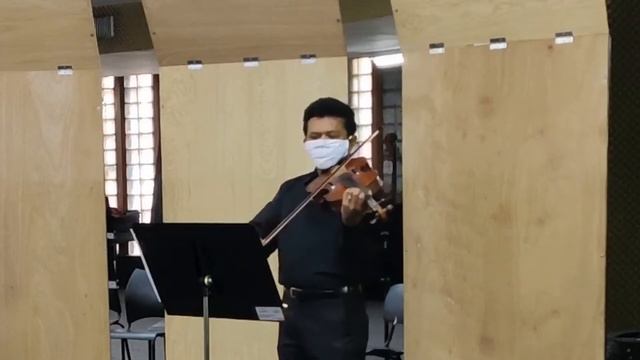 Potter Waltz (Valsa do Harry Potter) de Patrick Doyle смотреть онлайн