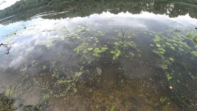 ЛЕЩ на воздушное тесто! Рыбалка с ночёвкой! рыбалка на донки! смотреть онлайн