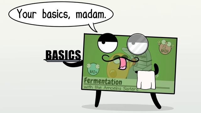 Amoeba Sisters Biology Learning Playlist Introduction