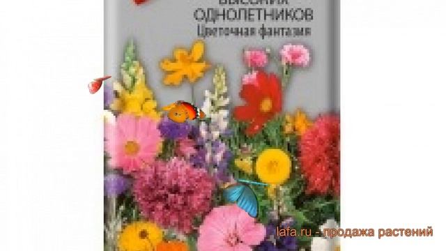 Смесь высокий Высоких однолетников Цветочная фантазия ? обзор: как сажать, семена смеси смотреть онлайн