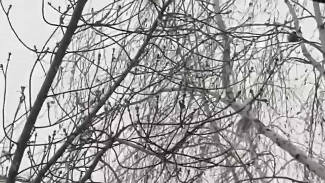 Morning [Zatriz 2021] смотреть онлайн