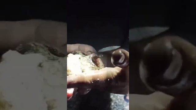 Морские дракончики (Δράκαινα) смотреть онлайн