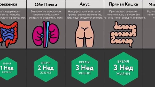 Сколько человек проживет без органов смотреть онлайн