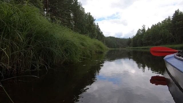 сплав Мура июль 2021 смотреть онлайн