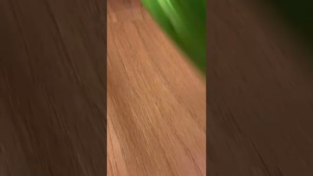 Слайм асмр,зелёный сундук! смотреть онлайн