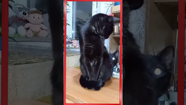 какой сегодня день? 😄 смотреть онлайн