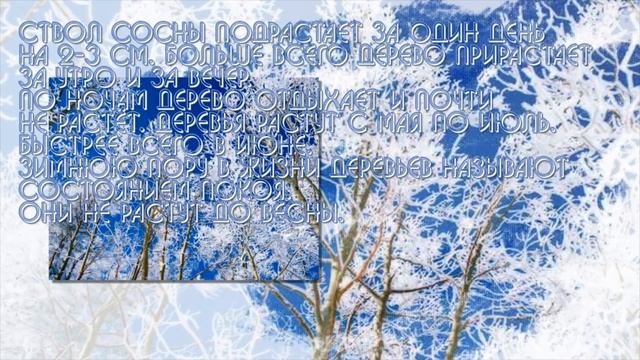 Растения зимой. Презентация для детей. Окружающий мир. смотреть онлайн