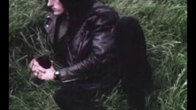 peter steele.wmv смотреть онлайн