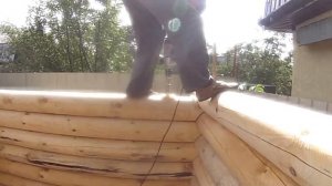 За 3 дня! Строительство бани из оцилиндрованного бревна