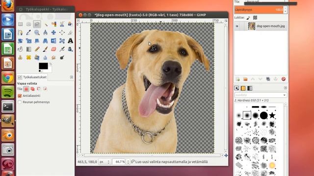 Gimp 2.8 - How to cut out an Image смотреть онлайн
