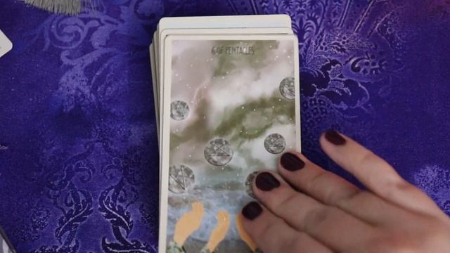 Star Seeker Tarot | First Impressions Walkthrough смотреть онлайн