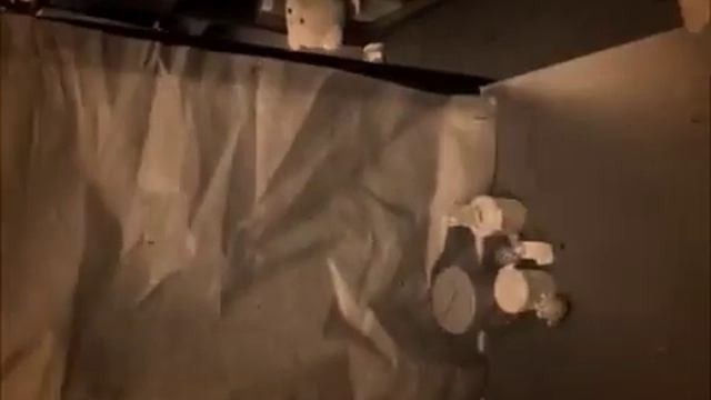 The Trash Pack Presents, "Who Was That Guy?" (Vintage Edition) Part 5 смотреть онлайн