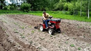 МТ110 первое окучивание картофеля двойным окучником