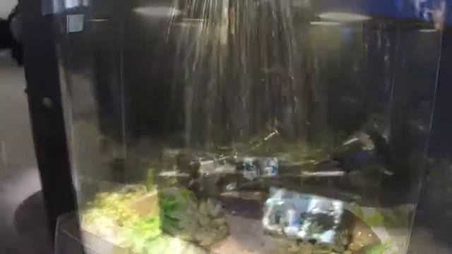 NAB 2011 - SONY HXR-NX70U Water Resistant Demo смотреть онлайн