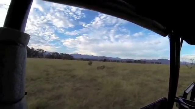 Plettenberg Bay Game Reserve смотреть онлайн