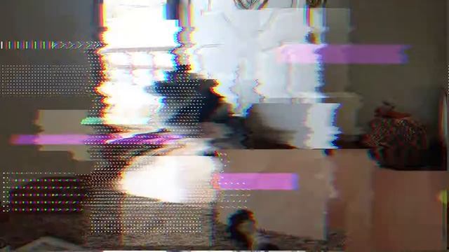 Вольф шпиц - всё о породе собаки смотреть онлайн
