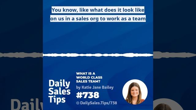738: What is a World Class Sales Team? - Katie Jane Bailey смотреть онлайн