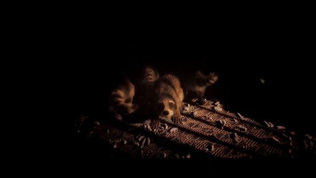 Baby Rocket opening scene | Guardians of the Galaxy Vol. 3 смотреть онлайн