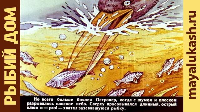 Рыбий дом. Сказка Виталия Бианки для детей смотреть онлайн