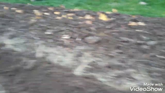 Пашем,пашем,очень сыро. смотреть онлайн