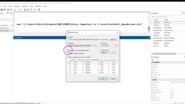 Stata: How To Load Stata Native .dta, Excel And .csv Files With Data смотреть онлайн