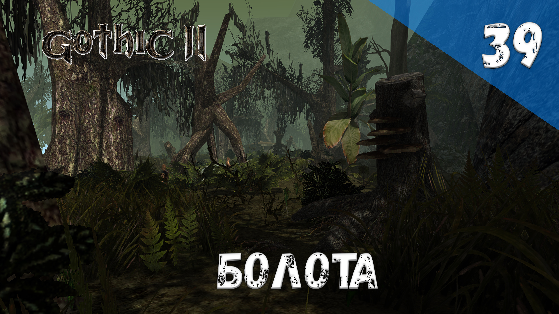 Gothic 2 Ночь Ворона - Прохождение #39 Болота смотреть онлайн