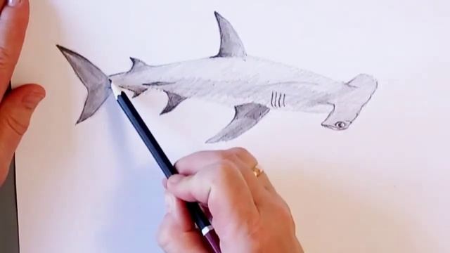 Как нарисовать рыбу молот 3D рисунок смотреть онлайн